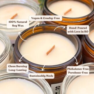 Meltori Classic Watch